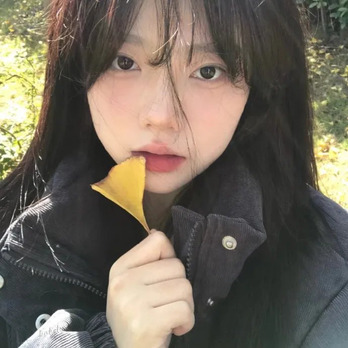 伊迪与潘