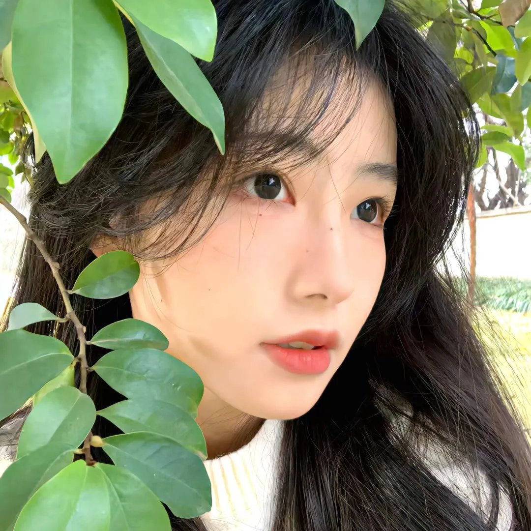女导与强盗